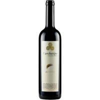 L'Archetipo Aglianico Puglia