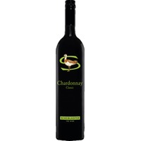 Scheiblhofer Classic Chardonnay, Trocken, Burgenland, Burgenland, 2023, Weißwein
