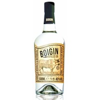 Boigin