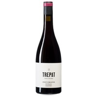 Josep Foraster Trepat