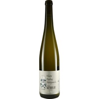 Kloster Riesling Hochgewächs feinherb - Weingut Burgkeller