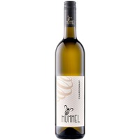 Chardonnay trocken - Weingut Hummel Weinviertel