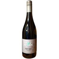 Pinot Noir FundamenT