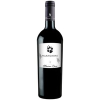 Falanghina Puglia IGP trocken - Cantine Massimo Leone