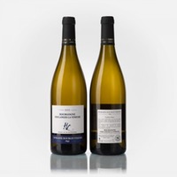 Bourgogne Coulanges-la-Vineuse Tradition blanc
