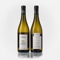 Collines Rhodaniennes IGP Viognier "A l'Origine"