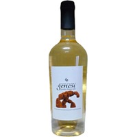 Genesi Pentro DOC Bianco trocken - L'Arco Antico