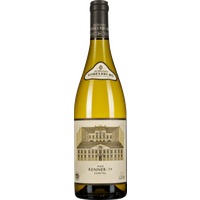 Grüner Veltliner Ried Renner 1ÖTW Erste Lage