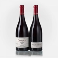 Coteaux de l'Auxois IGP Oppidum Pinot Noir