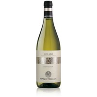 Collio Sauvignon