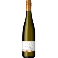 Riesling Signatur Kollektion trocken - Weingut Lang