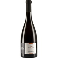 Antéa Chenonceaux AOP trocken Bio - Domaine Sauvète