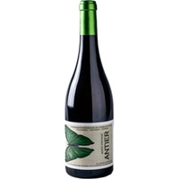 Antier Blanc Vintage trocken - Recuero & Co