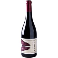 Antier Red Vintage trocken - Recuero & Co