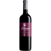 Corvina Verona IGP trocken - Cottini Marco