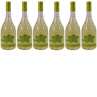 6er Vorteilspaket Fior di Lago Vino Bianco DOC Cantina Bulgarini