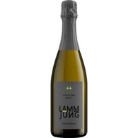 Lamm Jung Meister Riesling Sekt, Brut, Rheingau, Rheingau, 2019, Schaumwein