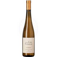 Grüner Veltliner Nussberg Wieninger