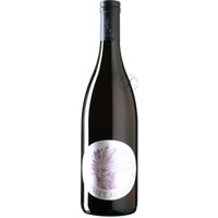 Upupa Rosa