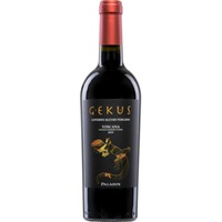 Paladin Gekus Governo all'Uso Toscano, Toscana IGP, Toskana, 2019, Rotwein
