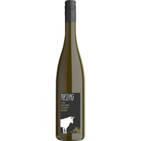 Dalsheimer Sauloch Riesling vom Brummelochsenboden trocken - Weingut Müller-Dr. Becker