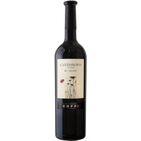 Cantonovo Primitivo Puglia trocken Bio - Cantina Coppi