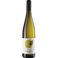 Jürgen Hofmann Weissburgunder, Trocken, Rheinhessen, Rheinhessen, 2023, Weißwein