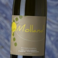 Bonnardot Molland