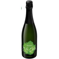 Magia Spumate metodo classico Daunia IGP brut - Cantine Pallotta