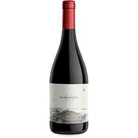 45° Rugientes Pinot Noir