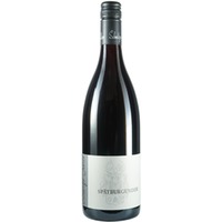 Eschbach Spätburgunder Rotwein trocken Bio - Weingut Schmitzer-Julier
