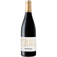 Somdinou Tinto Crianza Terra Alta DO trocken Bio - Cooperativa de Gandesa