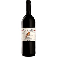 Castellare di Castellina : Coniale