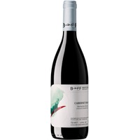 Cabernet Franc Venezia Giulia IGP trocken - Berto & Fiorella Baccichetto
