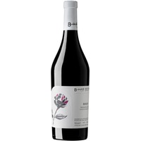Rosato Venezia Giulia IGP trocken - Berto & Fiorella Baccichetto