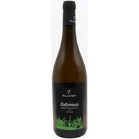 Salicòrnia Moscato di Noto DOC trocken Bio - Terre di Noto