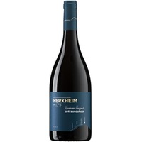 Spätburgunder Rotwein trocken Herxheimer Honigsack