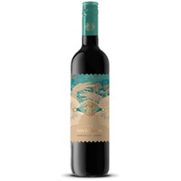 Invidious Tempranillo-Syrah VdT Castilla Kastilien-La Mancha