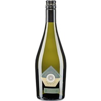Prosecco DOC trocken - Prosecco Brioso
