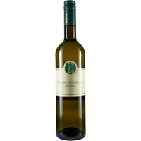 Sauvignon Blanc trocken - Weingut Zöbel