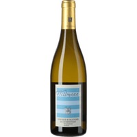 Westhofener Weißer Burgunder und Chardonnay