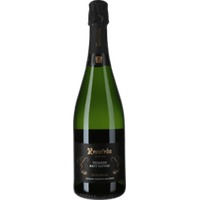 Terrers Brut Nature Cava Flaschengärung
