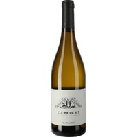 Celler Credo Capficat