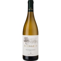 Scenario Bianco Bolgheri DOC