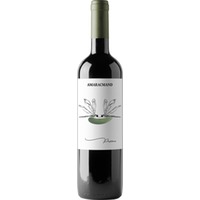 Perimea Sangiovese Rubicone IGP trocken Bio - Amaracmand Organic Winery