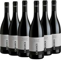 Dolcetto d'Acqui DOC 6 Flaschen