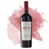 Briccolo Merlot Friuli DOC Grave Riserva (Bidoli)