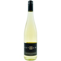 WEISSBURGUNDER trocken - Weingut Hothum