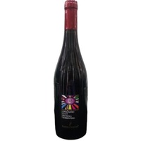 Gragnano Penisola Sorrentina DOC trocken - Cantina Tizzano