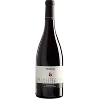 Refosco dal Peduncolo Rosso - DOC Friuli - Linea Augusta trocken - Tenuta Pribus